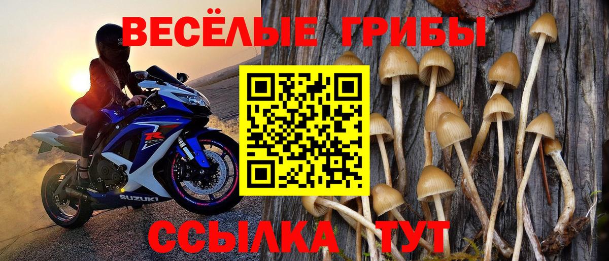 Галлюциногенные грибы мухоморы Прокопьевск